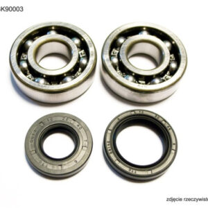 ŁOŻYSKA WAŁU KORBOWEGO BEARING WORX 24-1025